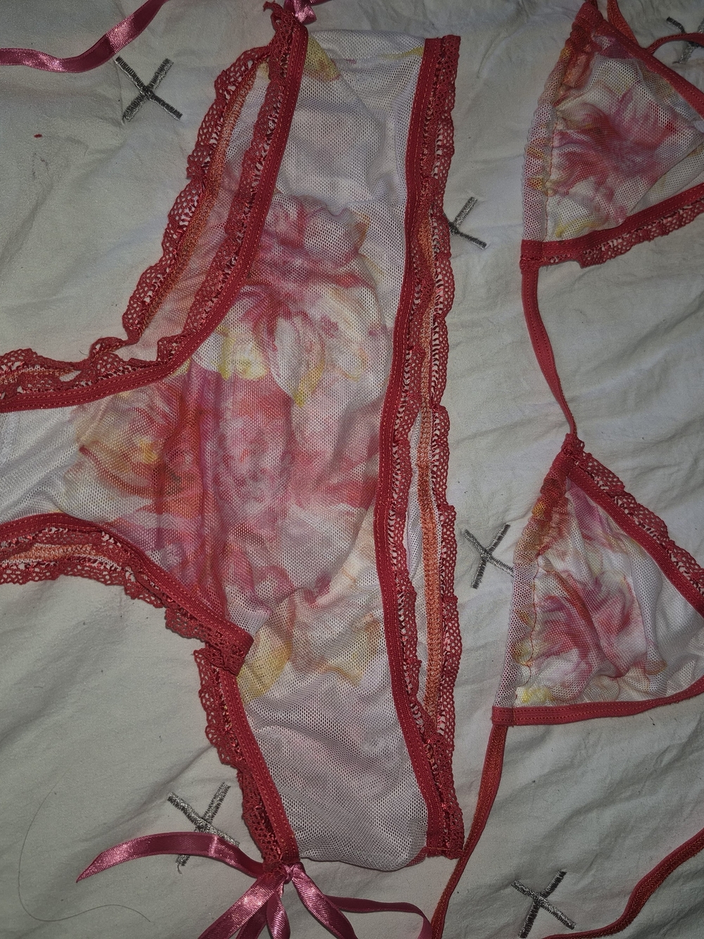 Sheer Floral Mesh Lace Bikini Set - White/Red